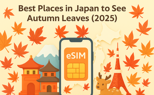 2025 日本賞楓最美城市與路線：時間表、私房景點與自助行程一次看🍂